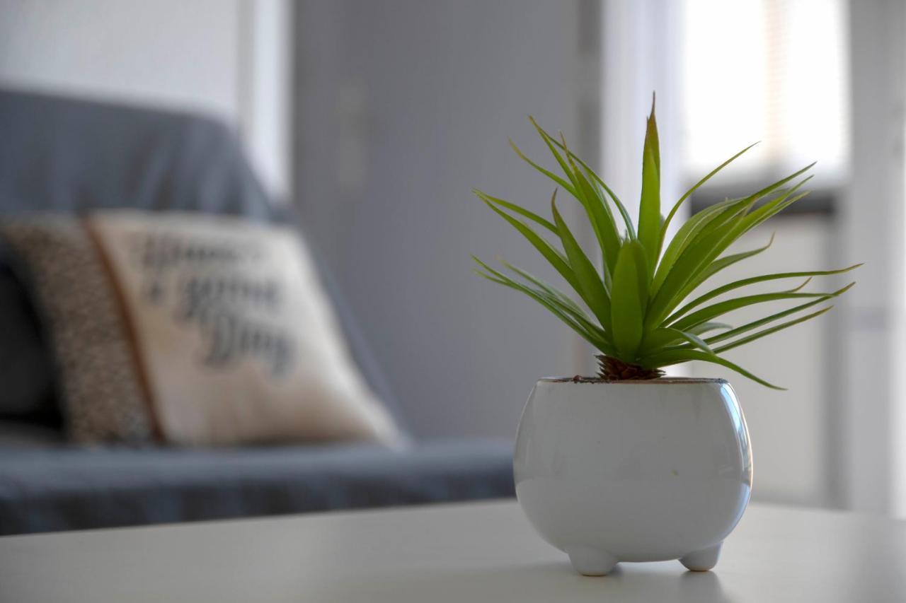 Studio Terrasse Montpellier - Parking Prive - Proche Ligne 1 Εξωτερικό φωτογραφία